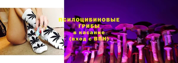 мяу мяу мука Абаза