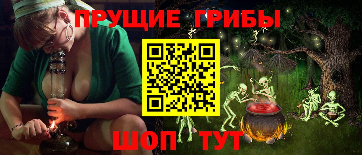 Псилоцибиновые грибы прущие грибы Зеленокумск