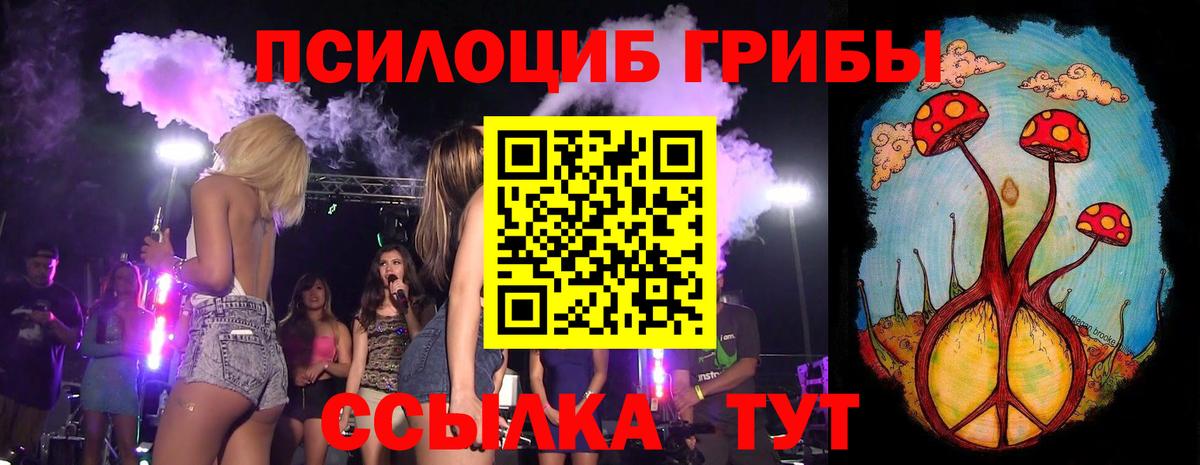 Псилоцибиновые грибы Psilocybe  Псилоцибиновые грибы GOLDEN TEACHER  Вход с VPN  Зеленокумск 